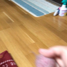 リトくんの取ってこい❤️ねこのしっぽの画像