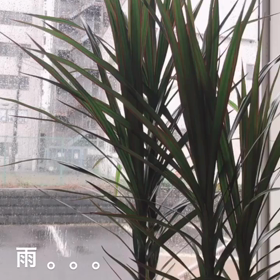 Σ੧(❛□❛✿)の画像