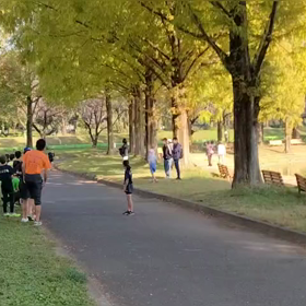 11/3　ミニ駅伝⑦の画像