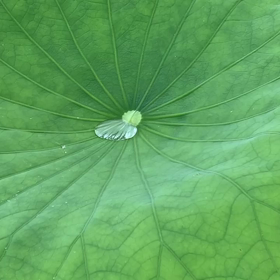 7/26生まれのあなたへの画像