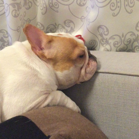 おねむ… ♪の画像