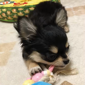 2018年Amebaおみくじの画像