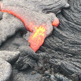 ヨーガンの画像