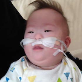 今日のつばちゃんの画像