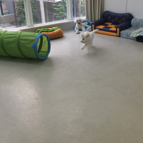 ♪プレイルーム動画♪②の画像