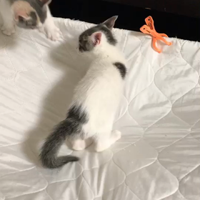 嬉しい近況報告❤の画像