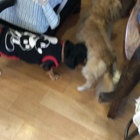 ガールフレンドのシェリーちゃんとの画像