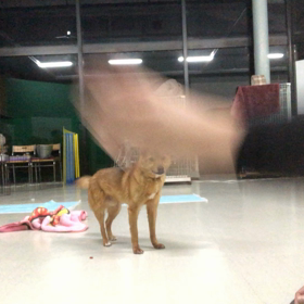 座るといいのですね！と気付いてくれましたの画像