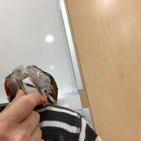 ゴールデンウイークの画像