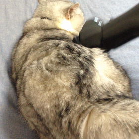 意外と好き？の画像