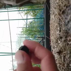 ドリップピンが詰まった‼️の画像