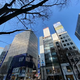 Shima散歩Tokyo日比谷〜銀座〜新橋一周散歩ver.2の画像