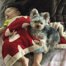 ぺっちゃんもかわいいよ。の画像