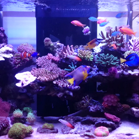 初動画アップの画像