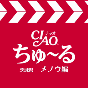 はやりのあれ。の画像