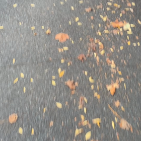 エビタイ。の画像