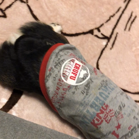 11月8日のエルフ　　なにしてんの？っの画像