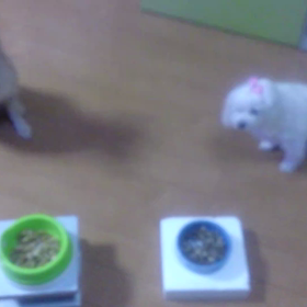 手術終了の画像