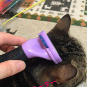 ファーミネーターの画像