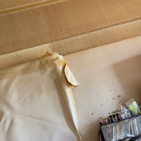 悪魔犯罪あがり、の画像