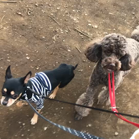 ♪60分遠足♪代々木公園♪の画像