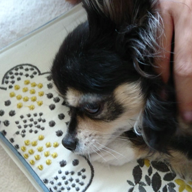 ジルちゃん動画ニィの画像