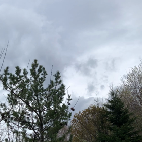 まだ練習中の画像