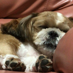 疲れたね。の画像