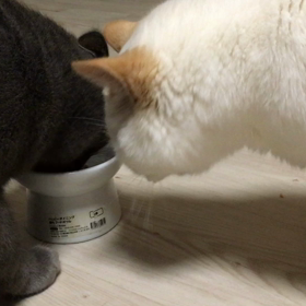 もぐもぐタイムの画像