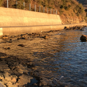 羽ばたくための心得の画像