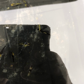 いい感じ！の画像