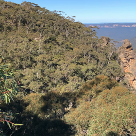 人生を見直す時間！の画像