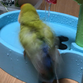 また台風かい…の画像