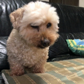 平成の最後に目標を！の画像