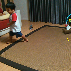 動画３日目ですが、、、何か？！の画像