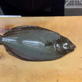 ヒラメの5枚おろし！の画像