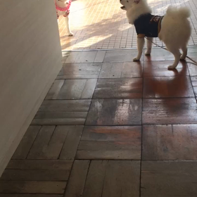 今日も平和ですの画像