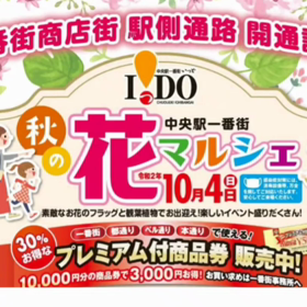 中央駅一番街商店街秋の花マルシェの画像