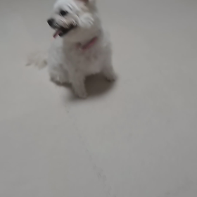 鍼治療の効果の画像