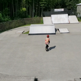 天下一武道会の画像