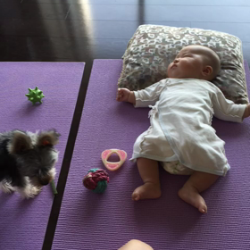 トリミング前に。の画像