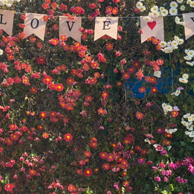 この記事の画像