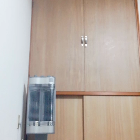 ピーコと私　ﾌﾟﾘﾌﾟﾘ443の画像