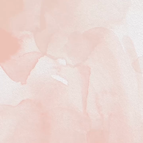 出逢ってしまった ポーチたちの画像