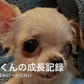 ゆらくん卒業！！の画像