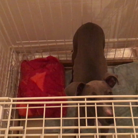 寝る前に・・・の画像