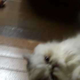 僕への…♪(´ε｀ )の画像