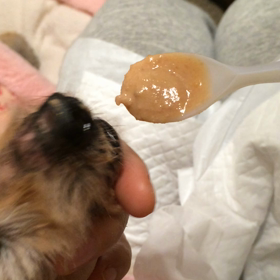 新技披露の画像