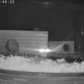 今現在の英彦さん。の画像