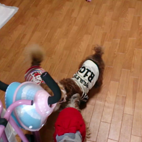 KYなひまわりの画像